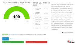 NitroPack для OpenCart